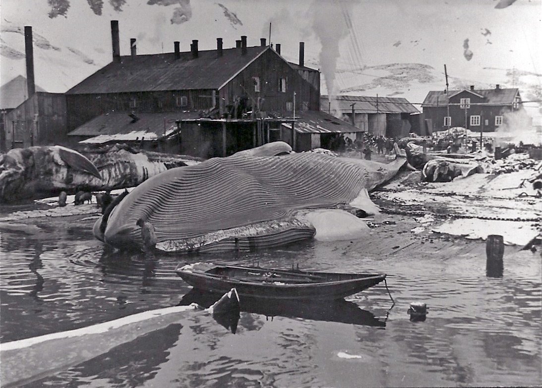 James Mann Wordie (1889 1962) Biographical notes